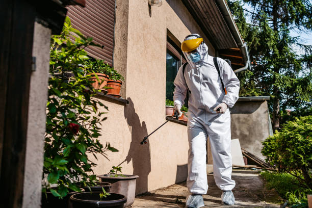Flea Control Services in Mckeesport, PA