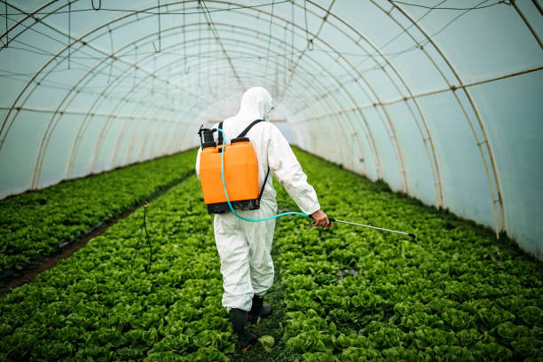 Best Affordable Exterminators  in Mckeesport, PA