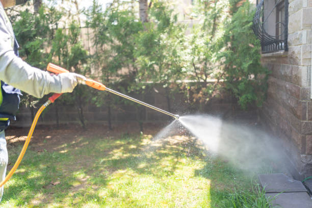 Reliable Mckeesport, PA Pest Control Solutions